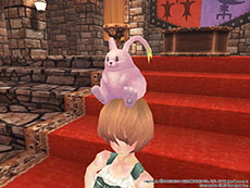 ������#039�Υ���ͥ���/��FEZ�פȡ֥��������������2 ������ɥ�������塼�����פ�����ܡ���������˥������ɤ��ʤ������դˤ��������ʤ��о�