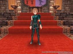 画像ギャラリー No.004のサムネイル画像 / 「FEZ」TVアニメ「Fate/Zero」とのコラボが復活。セイバーのコラボ装備が登場