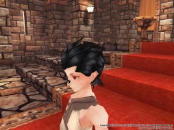 画像ギャラリー No.018のサムネイル画像 / 「FEZ」TVアニメ「Fate/Zero」とのコラボが復活。セイバーのコラボ装備が登場