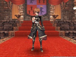 ���������꡼ No.017�Υ���ͥ������ / �֥ե��󥿥��������� ������9��ǯ��ǰ���٥�ȡ�9th Anniversary�פ򳫺�