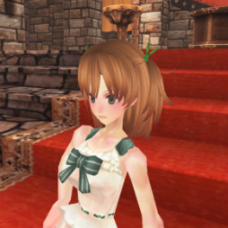 ꡼ No.029 | ֥ե󥿥 סưʪադɶβСо