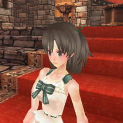 ꡼ No.031 | ֥ե󥿥 סưʪադɶβСо