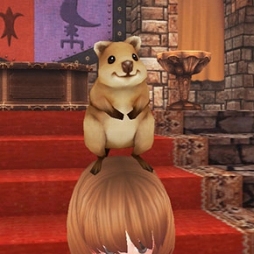 ꡼ No.011 | ֥ե󥿥 ס쥢꤬о줹֥롼åȡפ򳫻