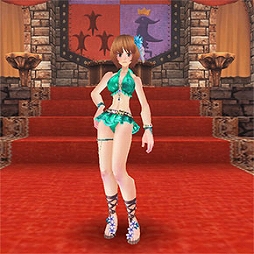 画像ギャラリー No.013のサムネイル画像 / 「ファンタジーアース ゼロ」,真夏の祭典「ヴィラーノフェスティバル」が開催