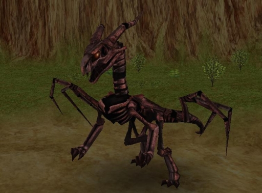 ꡼ No.008 | ֥ե󥿥 פǲ3ǯ֤о줷Ǥ֥饷å롼åȡ׼»