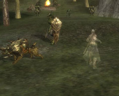 ꡼ No.023 | SUNס饹֥ɥפ916˼2020ͤˤ빶ʤɤοǤ餫