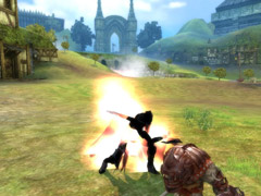 ꡼ No.029 | SUNס饹֥ɥפ916˼2020ͤˤ빶ʤɤοǤ餫