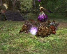 ꡼ No.004Υͥ / SUNסǶ俷ߥåʤɤɲäUPDATE EP2-7פˡåץǡȵǰ٥ȤⳫ