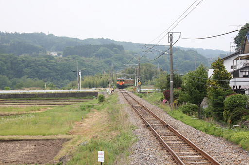 ꡼ No.003Υͥ / SUNפ緿åץǡȡֳÿʲפξܺ٤򱿱ĥץǥ塼̧ ػˡȲɡɤʹƤ2015ǯȾΥɥޥåפ餫