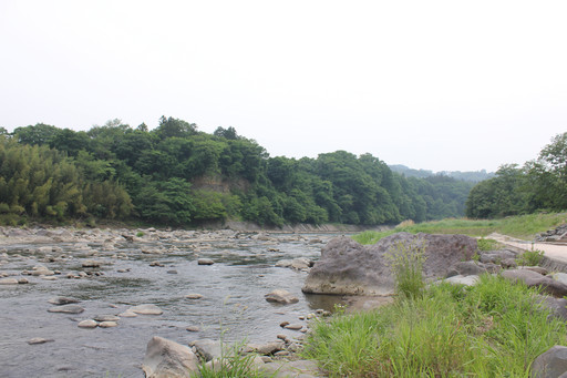 ꡼ No.006Υͥ / SUNפ緿åץǡȡֳÿʲפξܺ٤򱿱ĥץǥ塼̧ ػˡȲɡɤʹƤ2015ǯȾΥɥޥåפ餫