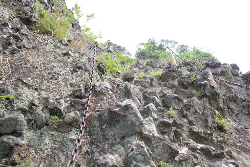 ꡼ No.008Υͥ / SUNפ緿åץǡȡֳÿʲפξܺ٤򱿱ĥץǥ塼̧ ػˡȲɡɤʹƤ2015ǯȾΥɥޥåפ餫