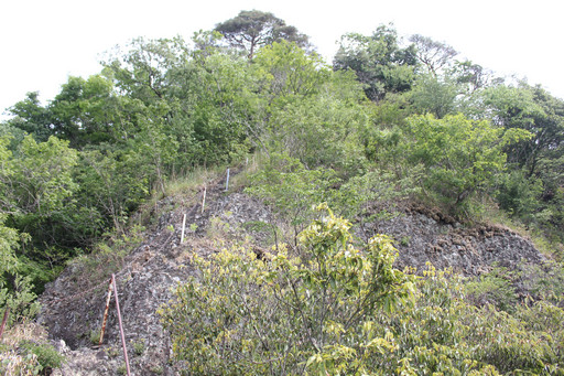 ꡼ No.009Υͥ / SUNפ緿åץǡȡֳÿʲפξܺ٤򱿱ĥץǥ塼̧ ػˡȲɡɤʹƤ2015ǯȾΥɥޥåפ餫