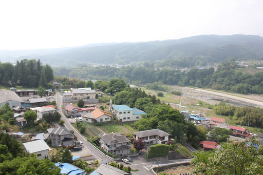 ꡼ No.010Υͥ / SUNפ緿åץǡȡֳÿʲפξܺ٤򱿱ĥץǥ塼̧ ػˡȲɡɤʹƤ2015ǯȾΥɥޥåפ餫