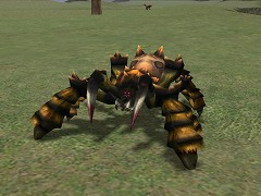 ������#001�Υ���ͥ���/�֥٥륢����ץ��ԥå���������9�Ƥȥ쥢��󥹥�������