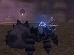 ������#002�Υ���ͥ���/�֥٥륢����ץ��ԥå���������9�Ƥȥ쥢��󥹥�������