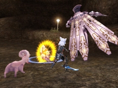 #005Υͥ/֥٥륢סΥåץǡȤǡϾ ϡƤεɤ