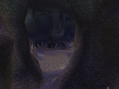 ���������꡼ No.013�Υ���ͥ������ / �֥٥륢����ס������ʾϤΥ��ȡ��꡼��SS�������Ͼ�Ϥ���������