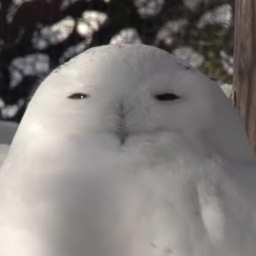 画像ギャラリー No.011のサムネイル画像 / 「RED STONE」,総額最大7億ポイント還元キャンペーンが開始。強力な装備が入手できる「アニバーサリーモード」も実施