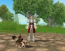 ������#004�Υ���ͥ���/��SiLKROAD ONLINE�ס�Fantasy Odyssey�פ�116����ο������롤4����ο��ڥåȤʤɤ�����