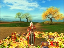 ������#002�Υ���ͥ���/��SiLKROAD ONLINE�ס��ȥ��륯����������ɤ�˫�ޥ��٥�Ȥ�ȯɽ