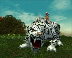 ������#001�Υ���ͥ���/�ڥ�꡼���ۺǶ���󥹥���ã�����衪��SiLKROAD ONLINE�פǥ��٥�ȳ���