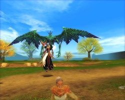 ������#007�Υ���ͥ���/�ڥ�꡼���ۺǶ���󥹥���ã�����衪��SiLKROAD ONLINE�פǥ��٥�ȳ���