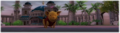 ������#007�Υ���ͥ���/��SiLKROAD��21��Υ����ƥ�����ۤʤɡ������ץ쥤�䡼�������»�