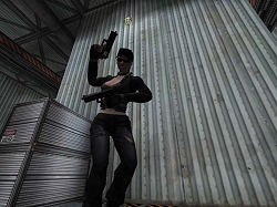 ���������꡼ No.001�Υ���ͥ������ / ��ʬ�ϱǲ襹��������SPECIAL FORCE���������ơ�Double MK23���о�