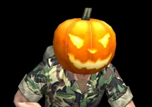 ���������꡼ No.005�Υ���ͥ������ / ��SPECIAL FORCE���������о��������ɽ��������礷�褦