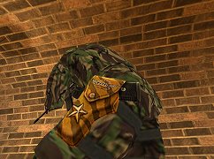 ���������꡼ No.004�Υ���ͥ������ / ��SPECIAL FORCE�ץ����ӥ�����4��ǯ��ǰ���ƥ��٥�ȳ���