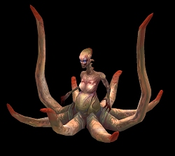 ������#014�Υ���ͥ���/��RAPPELZ���絬�ϥ��åץǡ��ȡ�EPIC6���ʥӥ���ߥ��פμ�������5��12���˷���