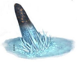 ꡼ No.025 | RAPPELZס緿åץǡȡEpic7LostפƳ뿷ޥå/󥸥ξܺپ󤬸