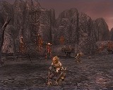 ������#002�Υ���ͥ���/�ֻ�Ԣ�� Online�ס��ץ쥪���ץ󥵡��ӥ��Ǥο����������Ƥΰ��������