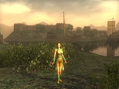 ������#003�Υ���ͥ���/�ֻ�Ԣ�� Online�ץץ쥪���ץ󥵡��ӥ������ϡ����������ӥ���10��11����