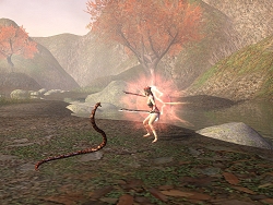 ������#001�Υ���ͥ���/�ֻ�Ԣ�� Online�׸����֥�����2��29���˼�������뿷���ǤˤĤ��ƾܺ٤�����