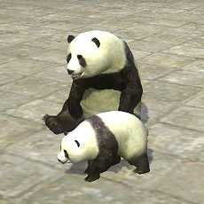 ������#002�Υ���ͥ���/�ڥ�꡼���ֻۡ�Ԣ�� Online�ץѥ�����ѿȡ������٥�ȡ��紶���ѿȺס׳���