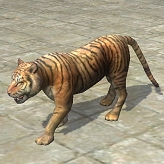 ������#004�Υ���ͥ���/�ڥ�꡼���ֻۡ�Ԣ�� Online�ץѥ�����ѿȡ������٥�ȡ��紶���ѿȺס׳���