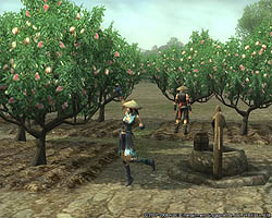 ������#004�Υ���ͥ���/�ֻ�Ԣ�� Online���緿���åץǡ��ȡ��ý�ư��������Ƽ»ܡ����ϰ��Ҥ����������ǽ��