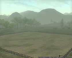 ������#005�Υ���ͥ���/�ֻ�Ԣ�� Online���緿���åץǡ��ȡ��ý�ư��������Ƽ»ܡ����ϰ��Ҥ����������ǽ��