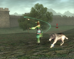 ������#005�Υ���ͥ���/�θ��Ǥε�ǽ���¤���ָ����������������ֻ�Ԣ�� Online���緿���åץǡ��ȡֻ�ά ��������פ���������