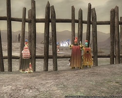 ������#003�Υ���ͥ���/���������軰�ᳫ��ֻ�Ԣ�� Online��5��٥�ȹ��凉�����塼��