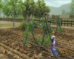 ������#004�Υ���ͥ���/�ֻ�Ԣ�� Online�ס����Ρ�����������ɤ�������դΥ��٥�ȳ���