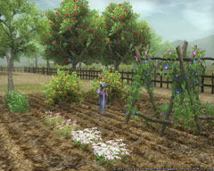 画像集#003のサムネイル/「三國志Online」,7月の三国制覇戦スケジュールが決定