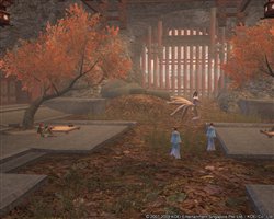 ꡼ No.004 | ֻԢ Online716˼»ͽ緿åץǡȡƷƮˡפξ