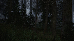 Veil of Mist
