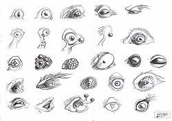 画像ギャラリー No.008のサムネイル画像 / 7年がかりで,ついに完成した「SPORE」。プロデューサー,Will Wright氏のインタビューを掲載