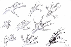 画像ギャラリー No.009のサムネイル画像 / 7年がかりで,ついに完成した「SPORE」。プロデューサー,Will Wright氏のインタビューを掲載