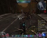 ������#010�Υ���ͥ���/���ܸ��ǡ֥إ륲���ȡ�����ɥ�פ����Ĥ�������ŹƬ�ˡ����ޥ���ץ쥤��̵���⥢��