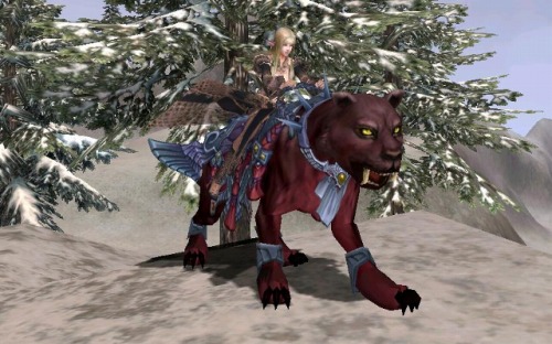 ���������꡼ No.010�Υ���ͥ������ / ��R.O.H.A.N�ס�WC�դ���礷���֤�ǳ����������������褦