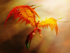 ���������꡼ No.003�Υ���ͥ������ / �ֿ���R.O.H.A.N�׿������С��֥ե��å����פ�11��10���˥����ץ�